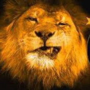 Meet your Posher, Aslan